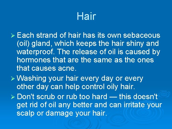 Hair Ø Each strand of hair has its own sebaceous (oil) gland, which keeps