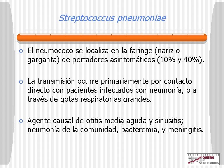 Streptococcus pneumoniae o El neumococo se localiza en la faringe (nariz o garganta) de