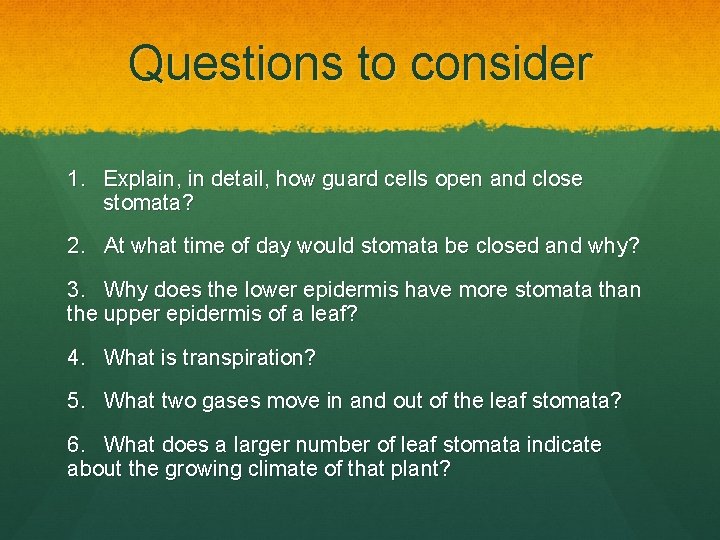Questions to consider 1. Explain, in detail, how guard cells open and close stomata?
