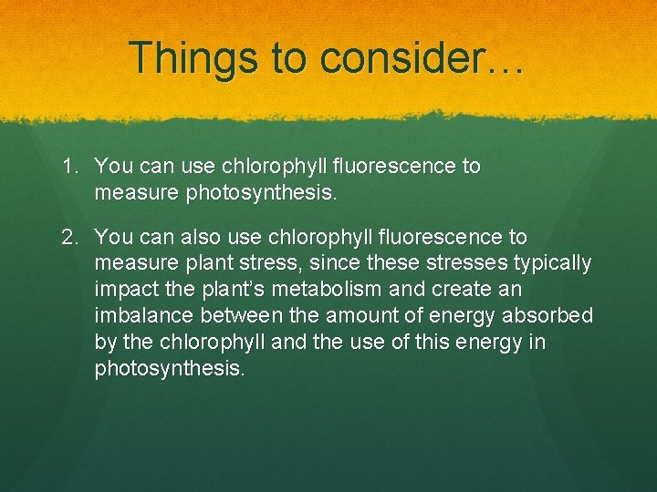 Things to consider… 1. You can use chlorophyll fluorescence to measure photosynthesis. 2. You