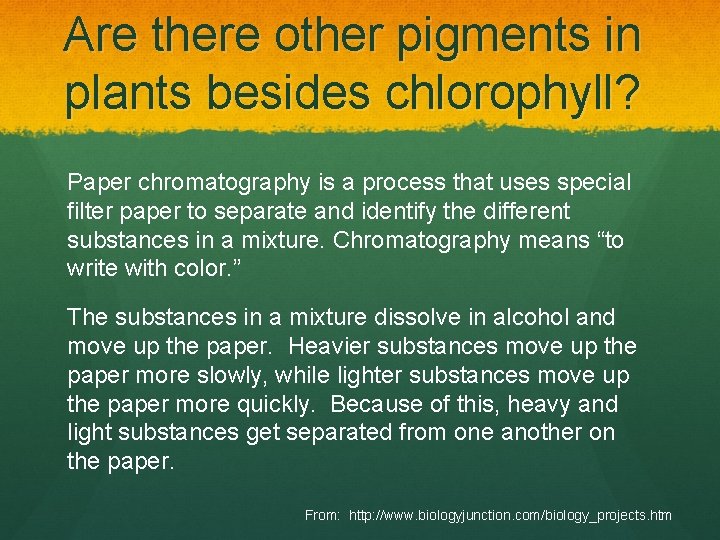 Are there other pigments in plants besides chlorophyll? Paper chromatography is a process that