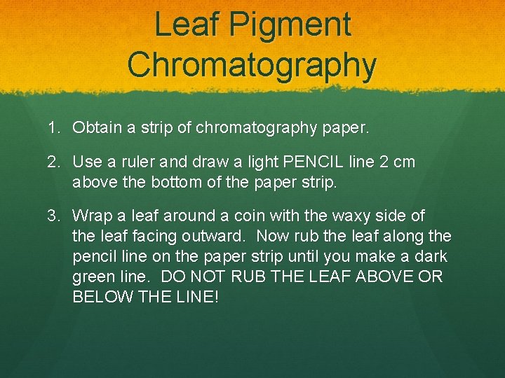 Leaf Pigment Chromatography 1. Obtain a strip of chromatography paper. 2. Use a ruler