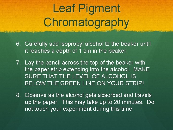 Leaf Pigment Chromatography 6. Carefully add isopropyl alcohol to the beaker until it reaches