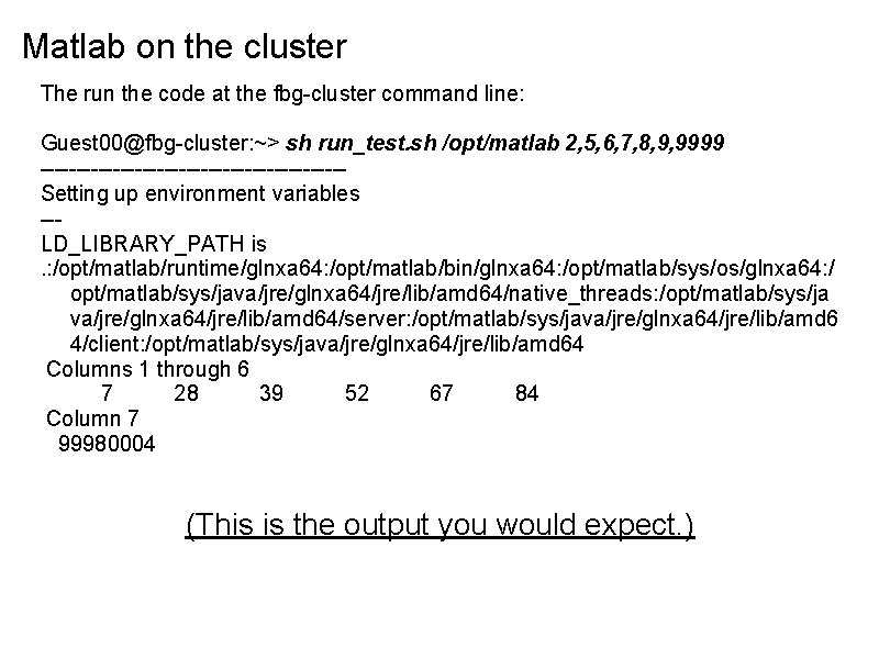 Matlab on the cluster The run the code at the fbg-cluster command line: Guest