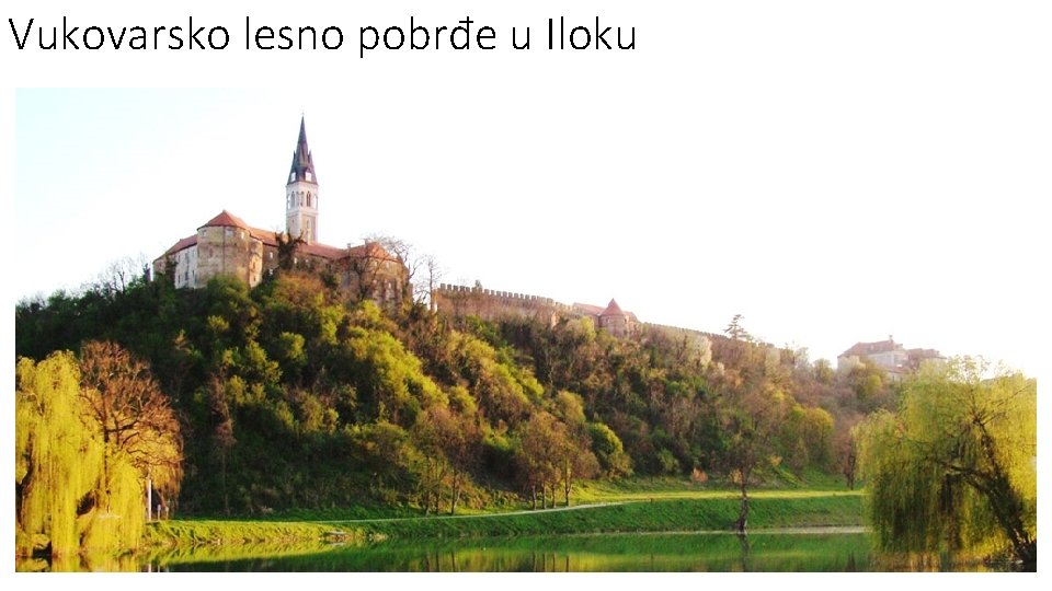 Vukovarsko lesno pobrđe u Iloku 