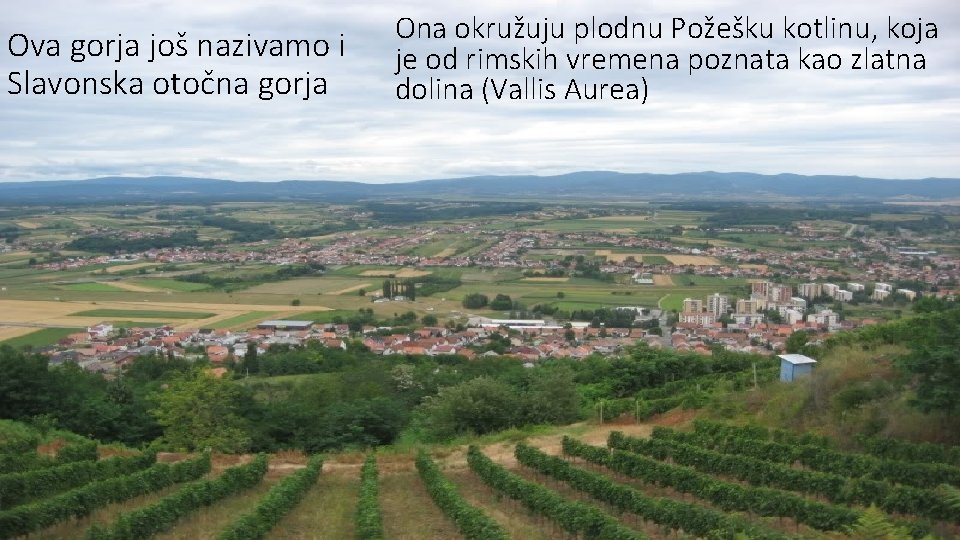 Ova gorja još nazivamo i Slavonska otočna gorja Ona okružuju plodnu Požešku kotlinu, koja