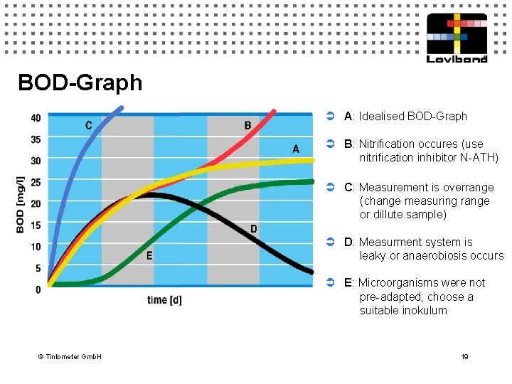 BOD-Graph Ü A: Idealised BOD-Graph Ü B: Nitrification occures (use nitrification inhibitor N-ATH) Ü