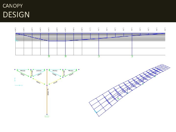 CANOPY DESIGN 