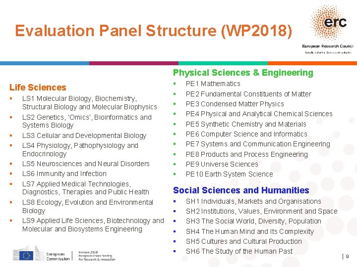 Evaluation Panel Structure (WP 2018) Established by the European Commission Physical Sciences & Engineering