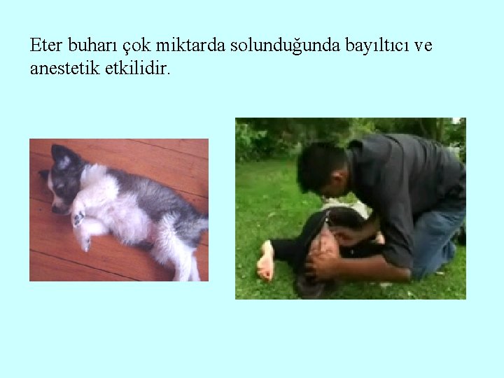 Eter buharı çok miktarda solunduğunda bayıltıcı ve anestetik etkilidir. 