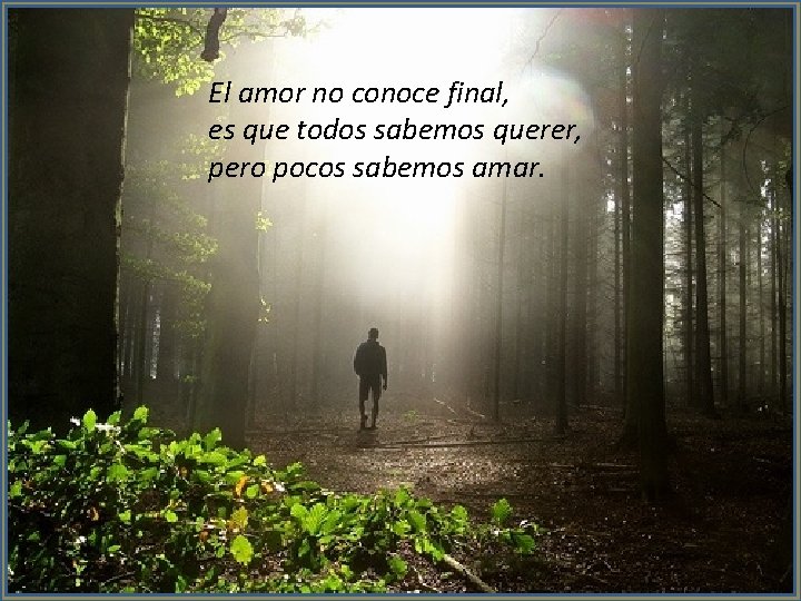 El amor no conoce final, es que todos sabemos querer, pero pocos sabemos amar.