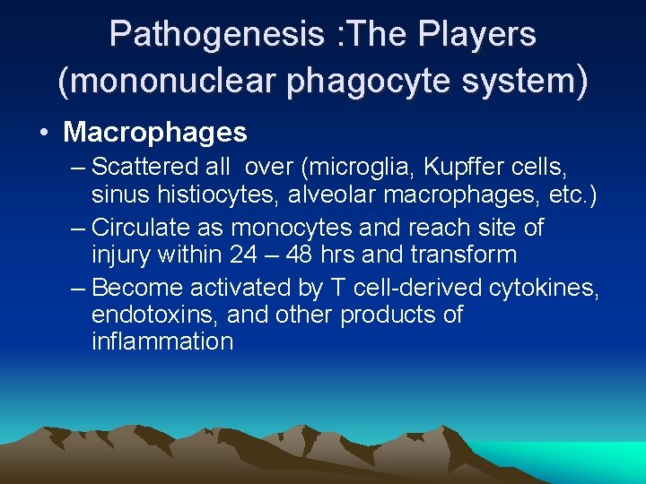 Pathogenesis : The Players (mononuclear phagocyte system) • Macrophages – Scattered all over (microglia,