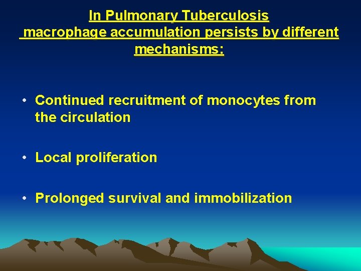 In Pulmonary Tuberculosis macrophage accumulation persists by different mechanisms: • Continued recruitment of monocytes