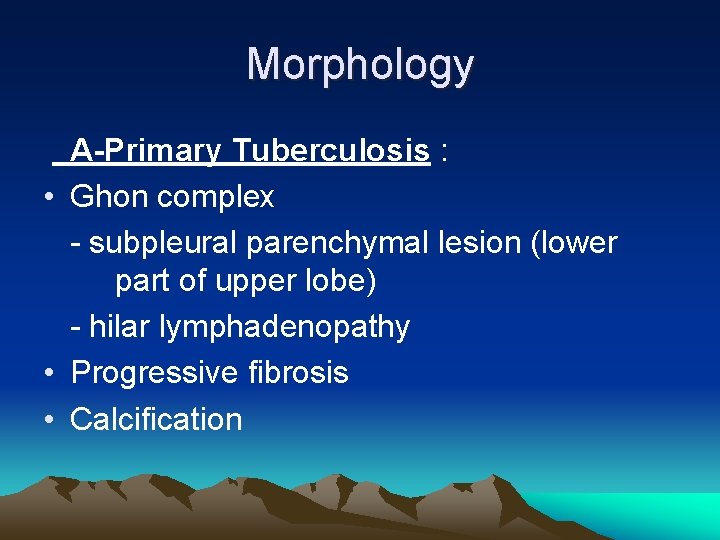 Morphology A-Primary Tuberculosis : • Ghon complex - subpleural parenchymal lesion (lower part of