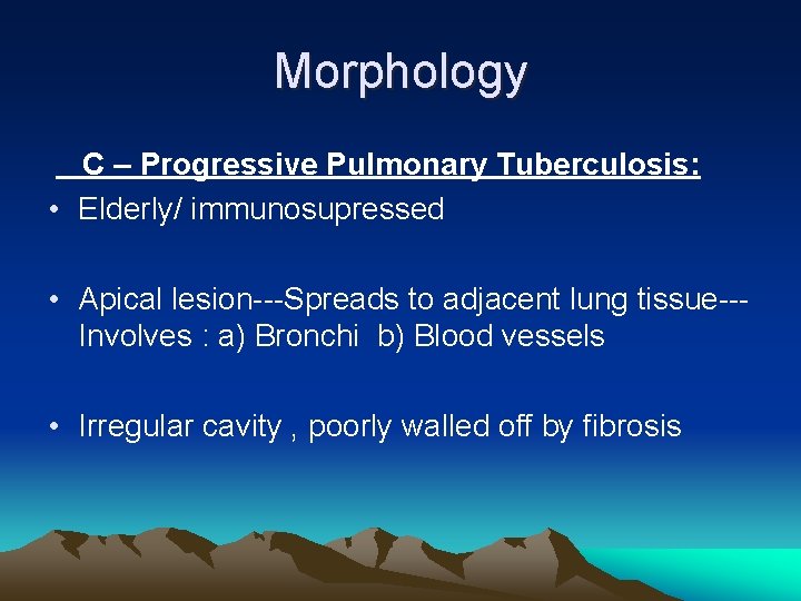 Morphology C – Progressive Pulmonary Tuberculosis: • Elderly/ immunosupressed • Apical lesion---Spreads to adjacent