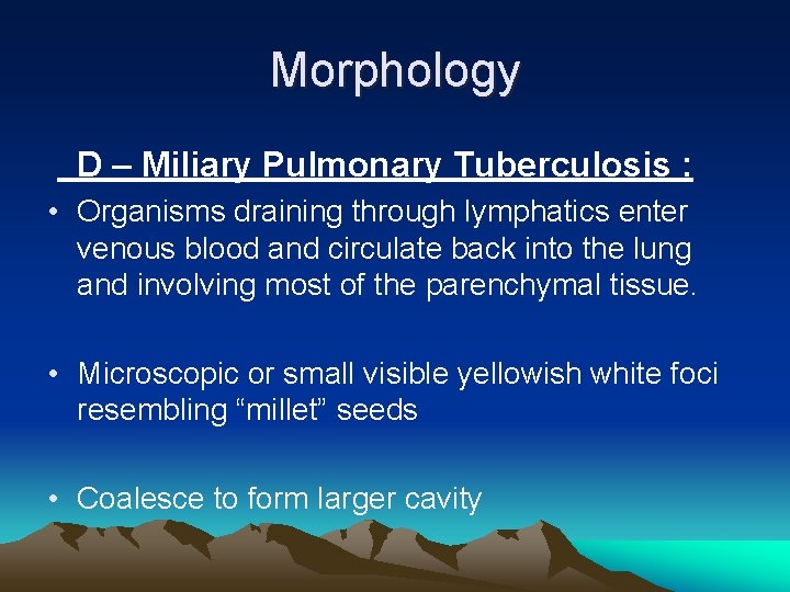 Morphology D – Miliary Pulmonary Tuberculosis : • Organisms draining through lymphatics enter venous