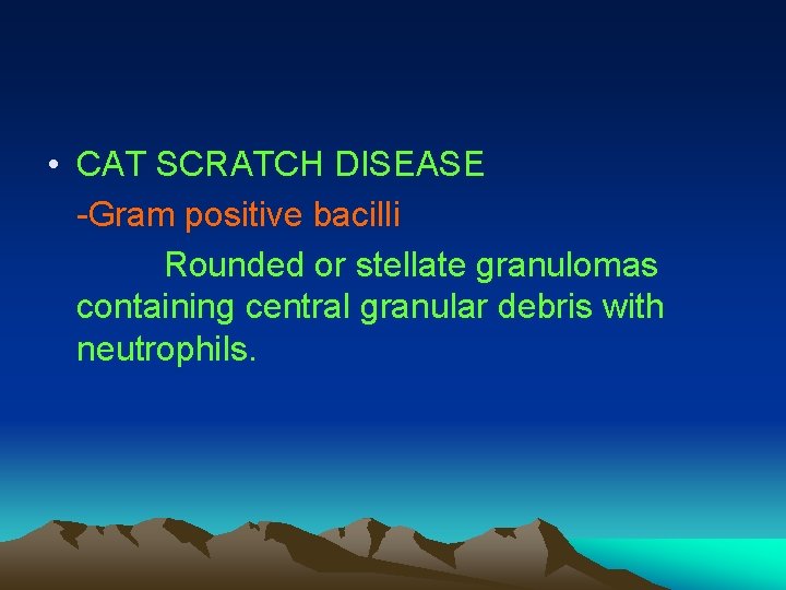  • CAT SCRATCH DISEASE -Gram positive bacilli Rounded or stellate granulomas containing central