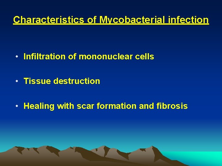 Characteristics of Mycobacterial infection • Infiltration of mononuclear cells • Tissue destruction • Healing