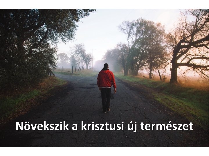 Növekszik a krisztusi új természet 