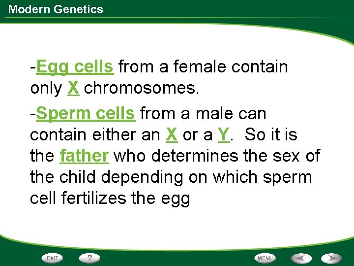 Modern Genetics -Egg cells from a female contain only X chromosomes. -Sperm cells from