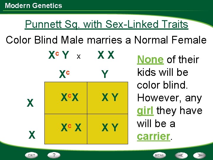 Modern Genetics Punnett Sq. with Sex-Linked Traits Color Blind Male marries a Normal Female