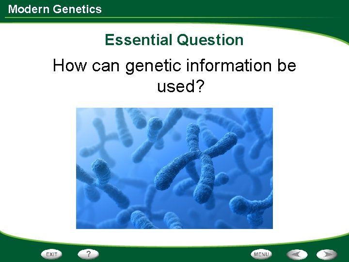 Modern Genetics Essential Question How can genetic information be used? 