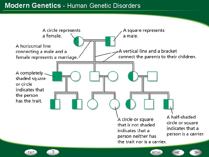 Modern Genetics - Human Genetic Disorders 