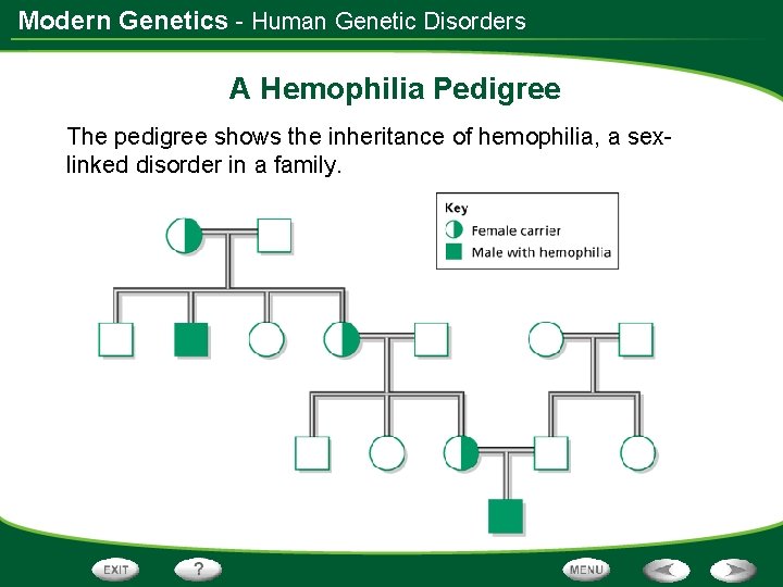 Modern Genetics - Human Genetic Disorders A Hemophilia Pedigree The pedigree shows the inheritance