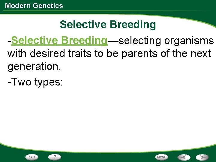 Modern Genetics Selective Breeding -Selective Breeding—selecting organisms with desired traits to be parents of