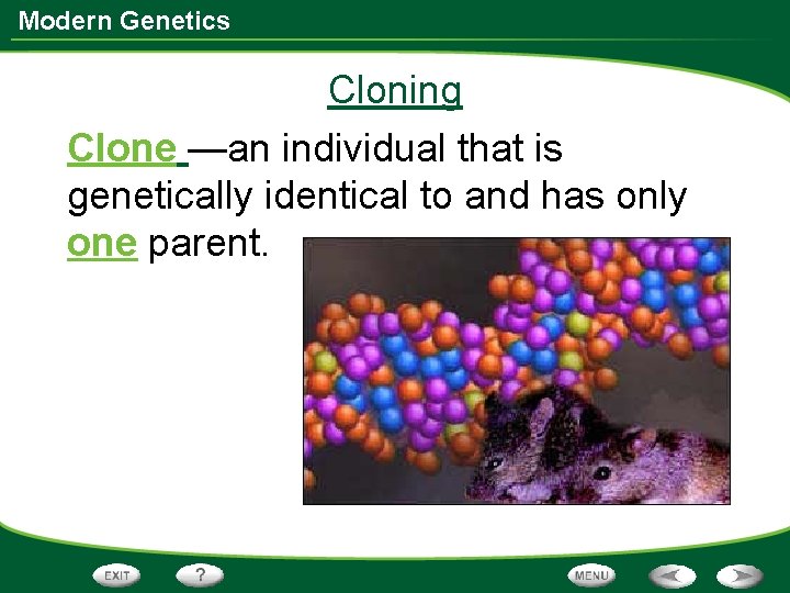 Modern Genetics Cloning Clone —an individual that is genetically identical to and has only