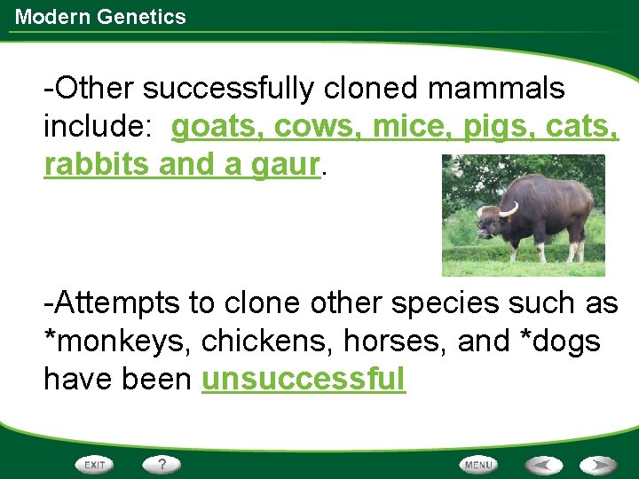 Modern Genetics -Other successfully cloned mammals include: goats, cows, mice, pigs, cats, rabbits and