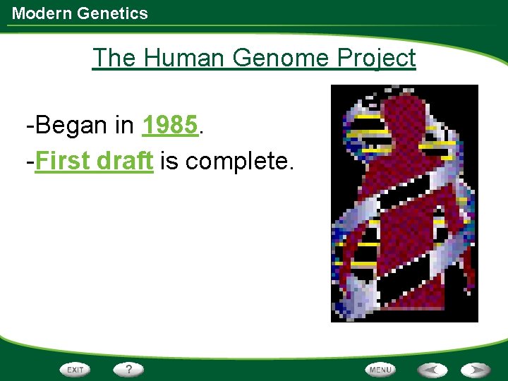 Modern Genetics The Human Genome Project -Began in 1985. -First draft is complete. 