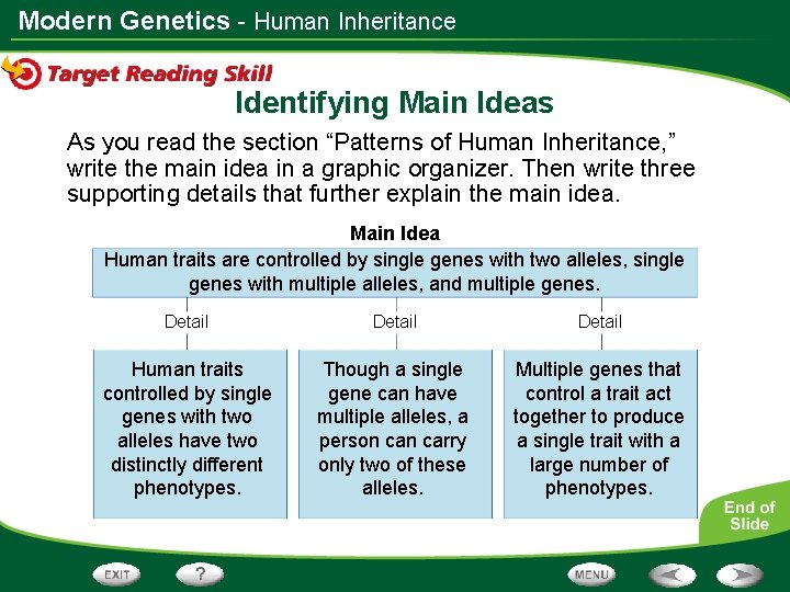 Modern Genetics - Human Inheritance Identifying Main Ideas As you read the section “Patterns