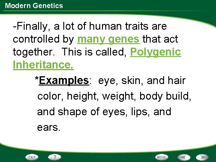 Modern Genetics -Finally, a lot of human traits are controlled by many genes that