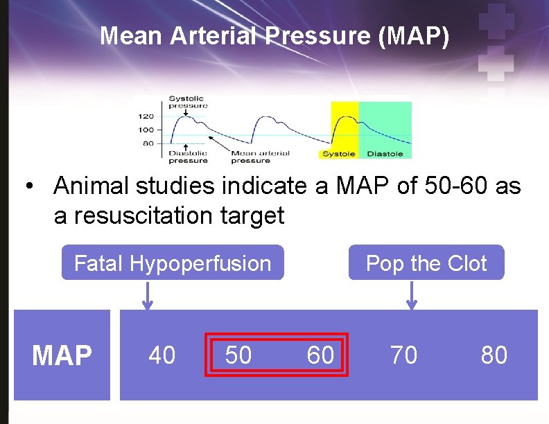 Mean Arterial Pressure (MAP) • Animal studies indicate a MAP of 50 -60 as