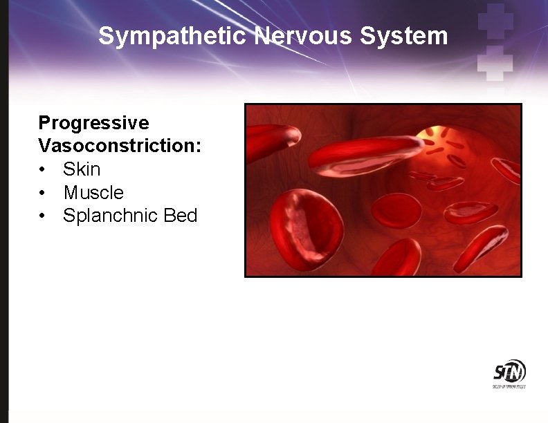 Sympathetic Nervous System Progressive Vasoconstriction: • Skin • Muscle • Splanchnic Bed 