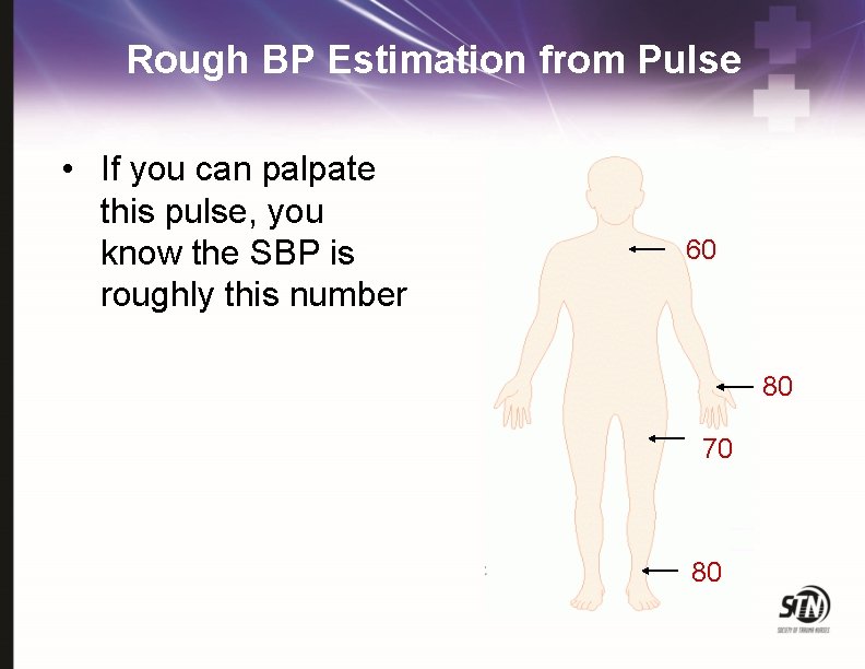 Rough BP Estimation from Pulse • If you can palpate this pulse, you know