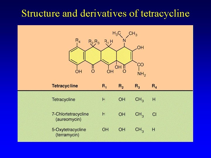 Structure and derivatives of tetracycline 