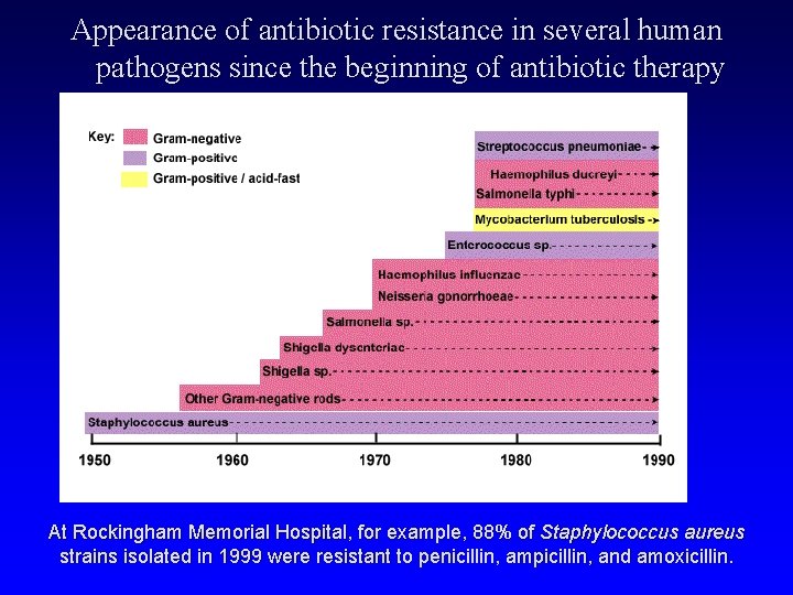 Appearance of antibiotic resistance in several human pathogens since the beginning of antibiotic therapy