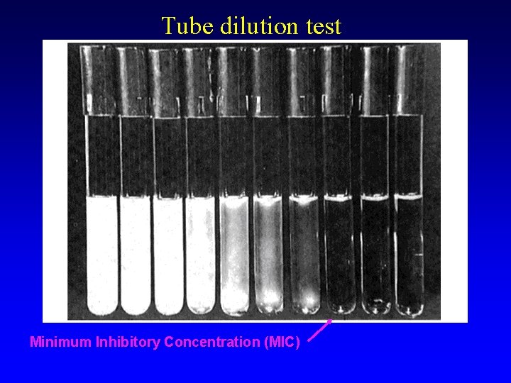 Tube dilution test Minimum Inhibitory Concentration (MIC) 