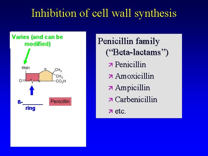 Inhibition of cell wall synthesis Varies (and can be modified) Penicillin family (“Beta-lactams”) Penicillin