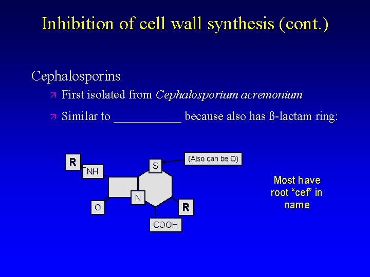 Inhibition of cell wall synthesis (cont. ) Cephalosporins First isolated from Cephalosporium acremonium Similar