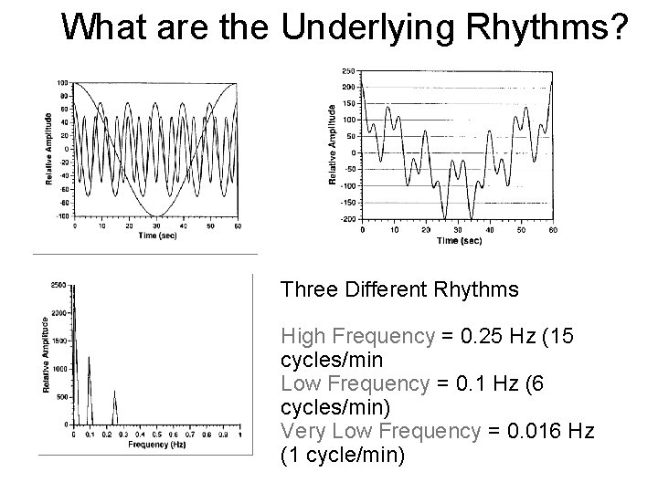 What are the Underlying Rhythms? Three Different Rhythms High Frequency = 0. 25 Hz