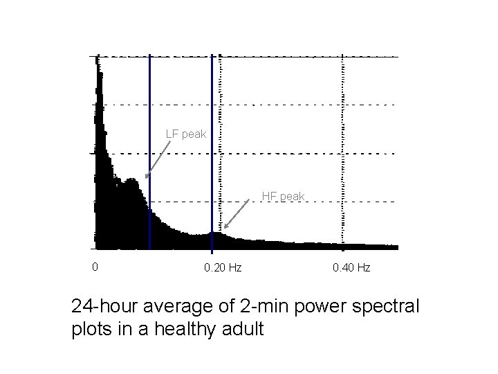 LF peak HF peak 0 0. 20 Hz 0. 40 Hz 24 -hour average