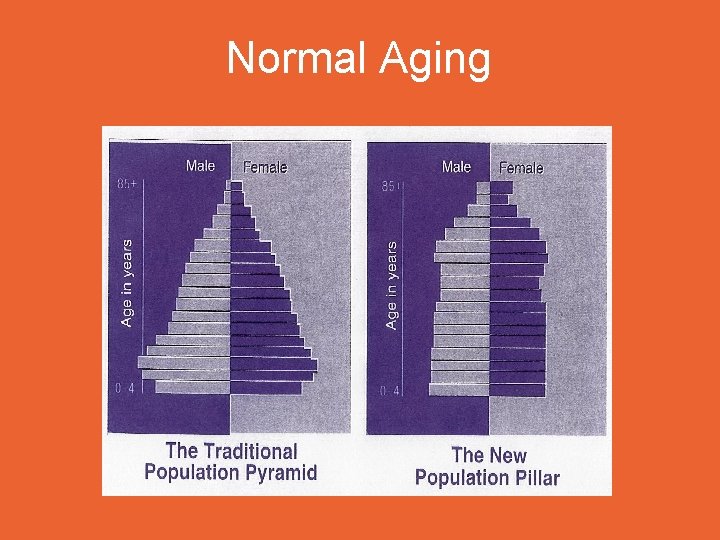 Normal Aging 