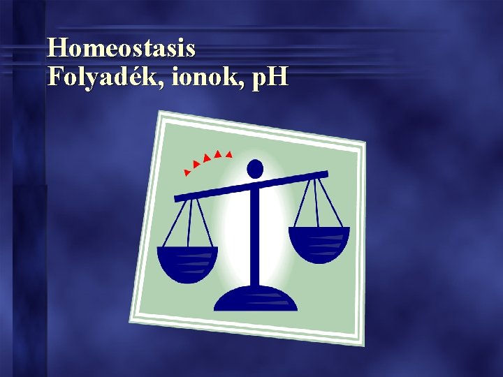 Homeostasis Folyadék, ionok, p. H 