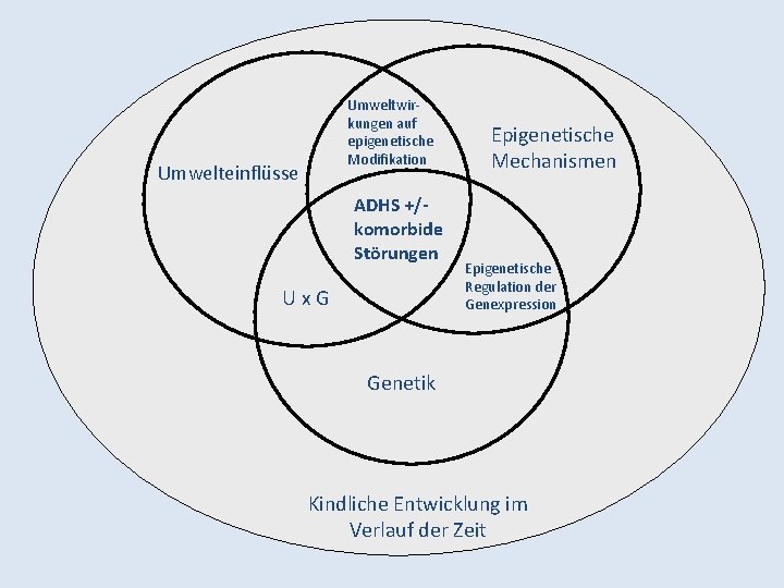 Umweltwirkungen auf epigenetische Modifikation Umwelteinflüsse ADHS +/komorbide Störungen Ux. G Epigenetische Mechanismen Epigenetische Regulation