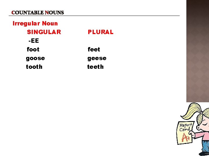 COUNTABLE NOUNS Irregular Noun SINGULAR -EE foot goose tooth PLURAL feet geese teeth 