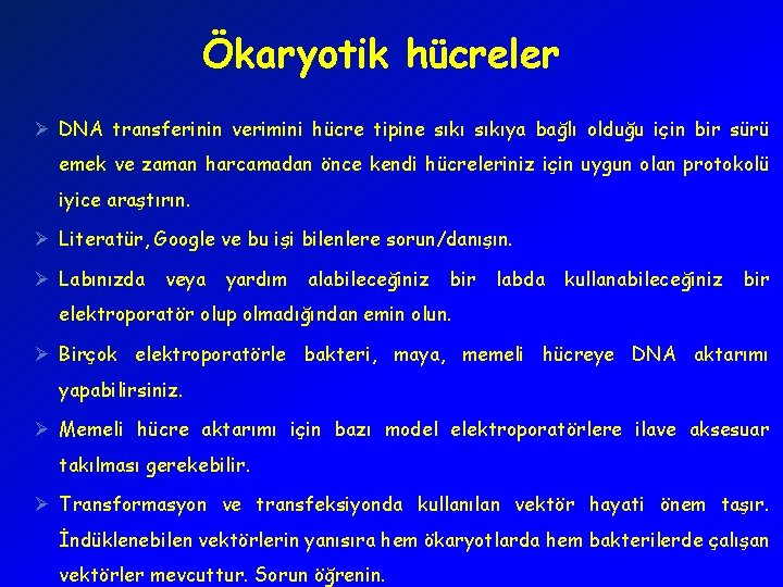 Ökaryotik hücreler Ø DNA transferinin verimini hücre tipine sıkıya bağlı olduğu için bir sürü