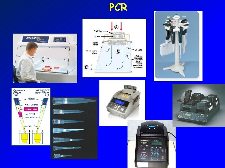 PCR 